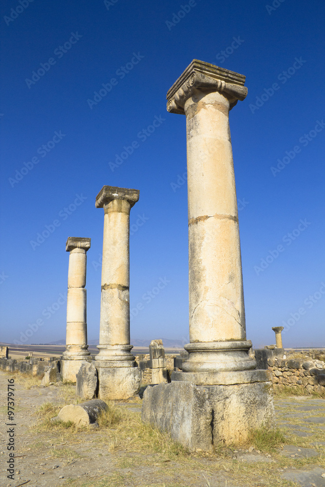Volubilis columns