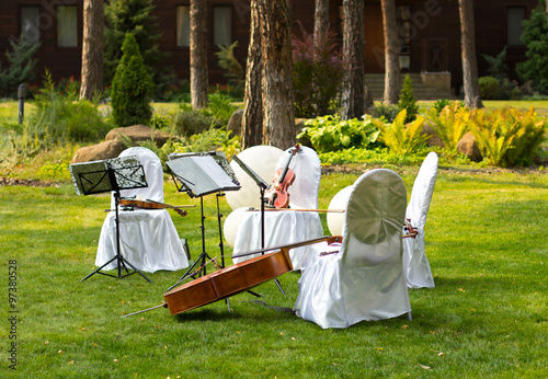 Violin. Violin outdoors. Live music. Wedding. Live music at the wedding
 photo