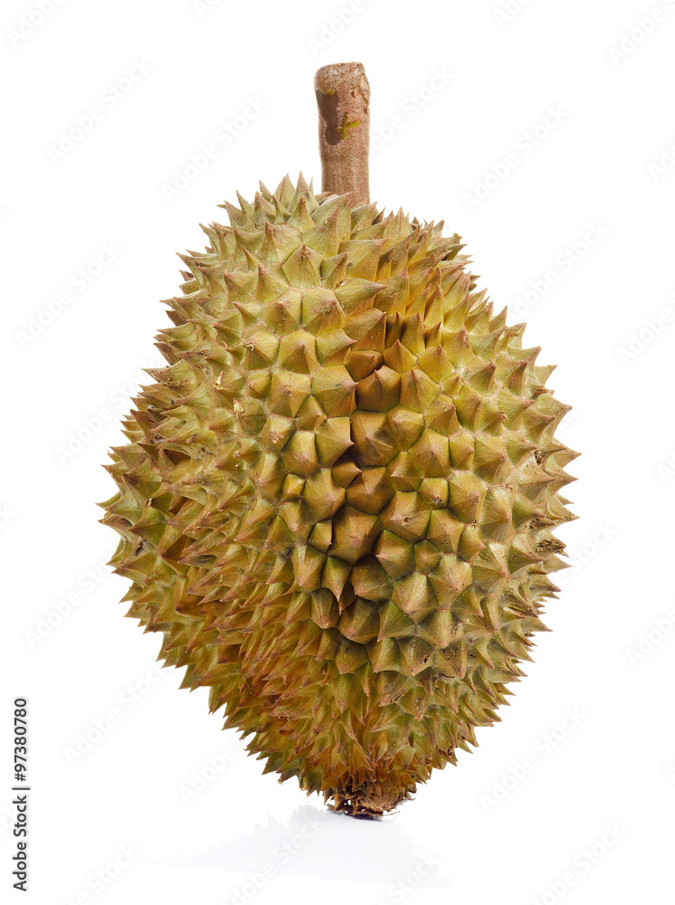 Durian isolated on white background. Durian isolated on white background.
