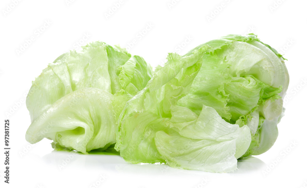 Green Iceberg lettuce on White Background Green Iceberg lettuce on White Background