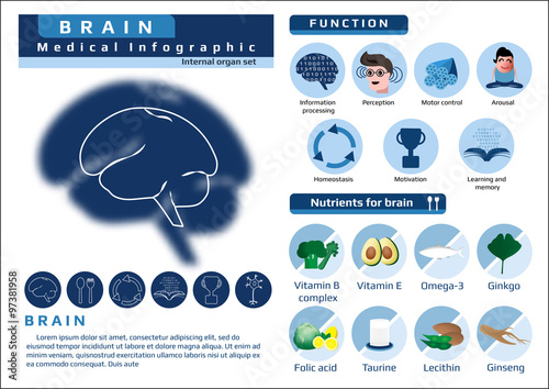 medical infographic of brain's function and nutrients that benefit for