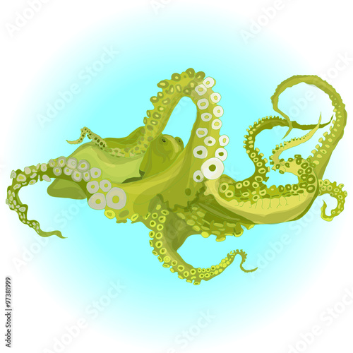 Vector drawing of an octopus/Kraken