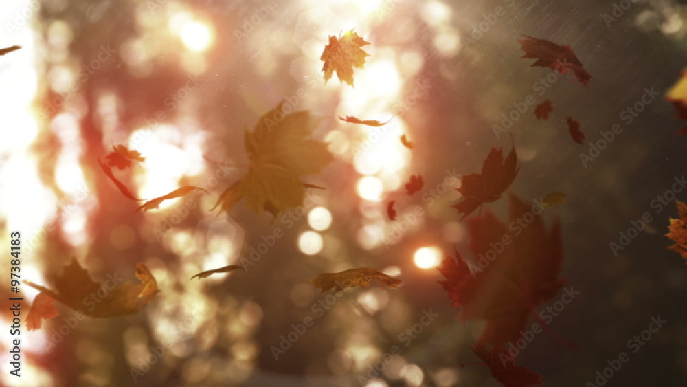Autumn leaves falling on the camera