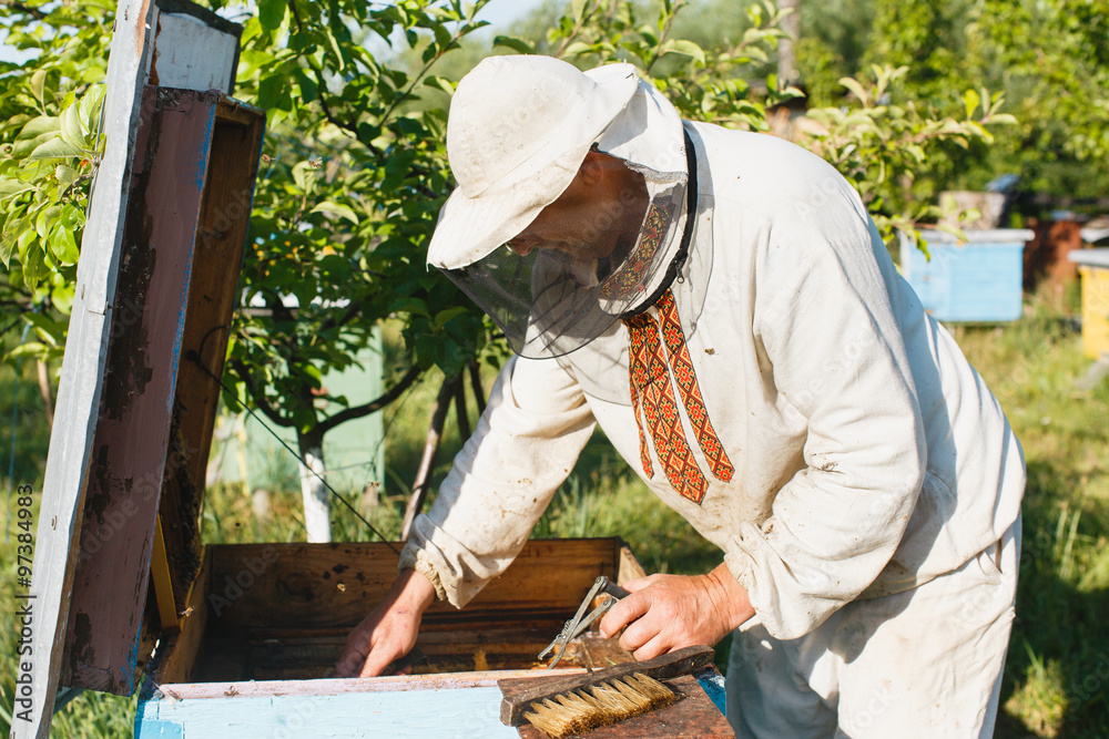 Apiarist in a protective hat does inspection of his beehive Apiarist in a protective hat does inspection of his beehive