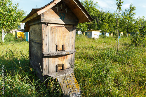  Wooden beehive with roof is standing in the bee-garden with multicolor wooden beehives on the background © veles_studio