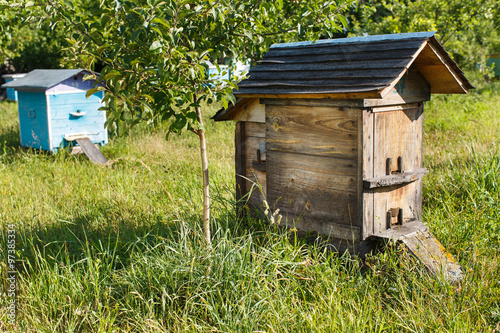 Side of dark wooden beehive near the tree with multicolor wooden beehives on the background