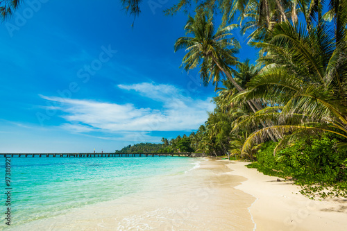tropical beach.  sea and coconut palm.  Landscape of paradise tr © EwaStudio