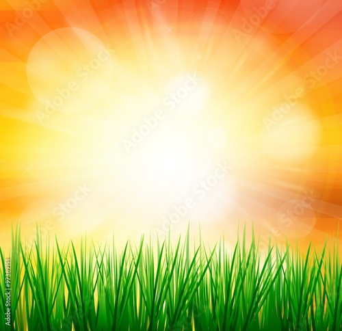 Fresh spring green grass with sunlight blured background,Nature illustration