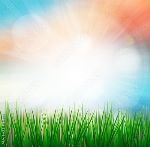 Fresh spring green grass with sunlight blured background,Nature illustration © Goodday studio