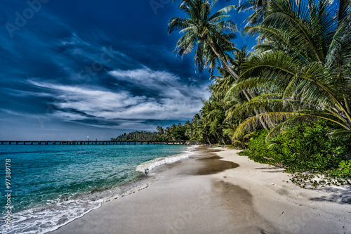 Beach with palm trees. dramatic sky with dark clouds. Beautiful