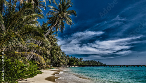 Beach with palm trees. dramatic sky with dark clouds. Beautiful