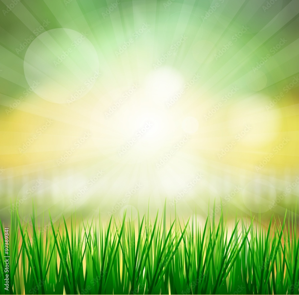 Fresh spring green grass with sunlight blured background,Nature illustration