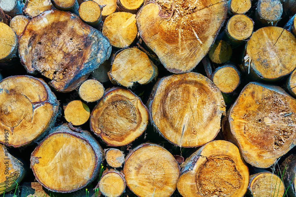 A stack of wood background A stack of wood background