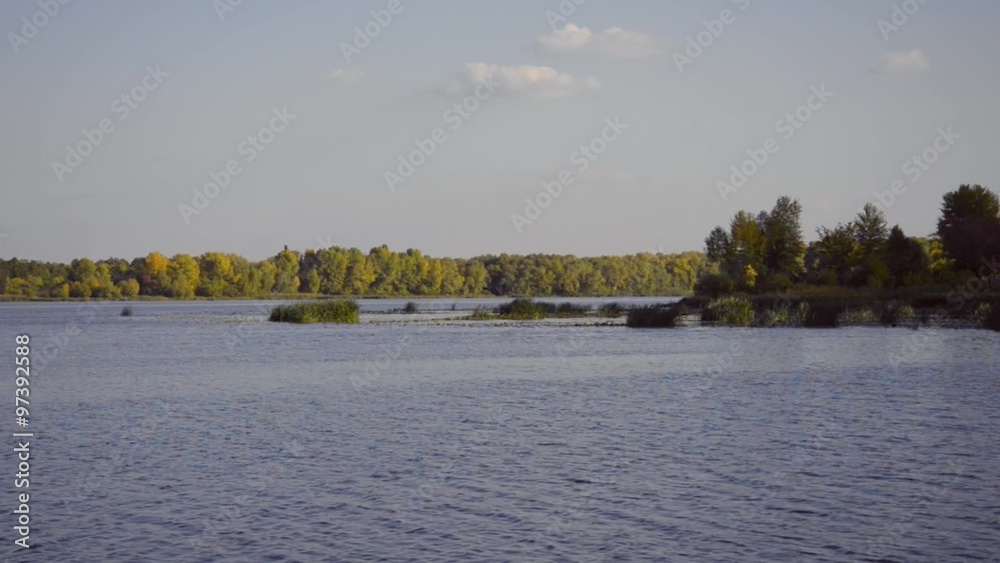 Typha latifolia reeds, Nuphar lutea and trees moved by the wind close to the Dnieper river in Kiev, Ukraine Typha latifolia reeds, Nuphar lutea and trees moved by the wind close to the Dnieper river in Kiev, Ukraine