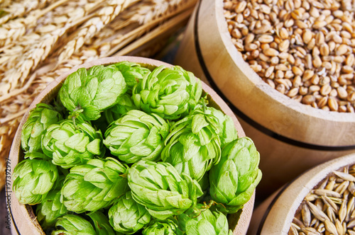 Beer ingredients in barrels