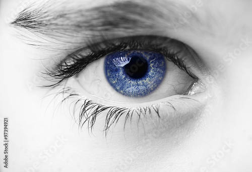 an insightful look on blue colored eyes photo