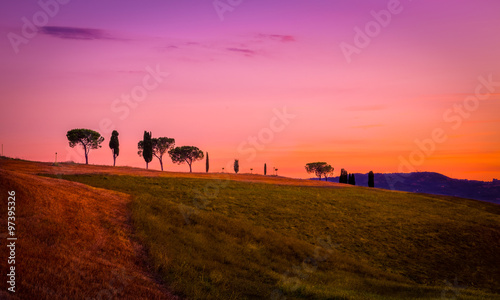 Amazing purple landscape