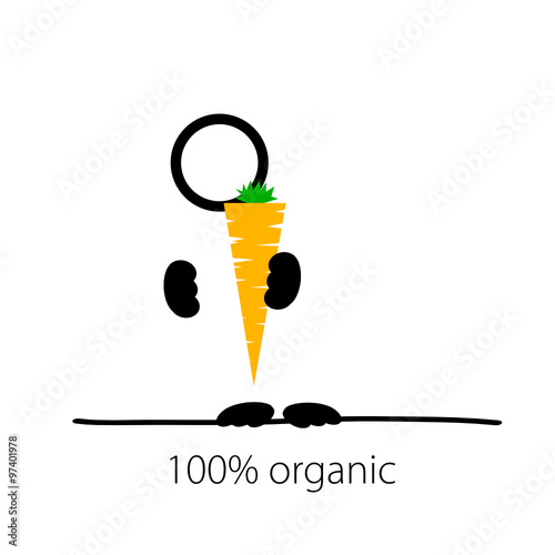 holding carrot organic vector