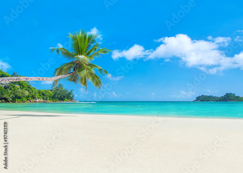 Fototapeta Naklejka Na Ścianę i Meble -  Palm beach Baie Lazare, Seychelles, Mahe island, Indian ocean pa