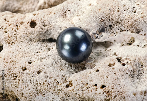 Obraz na plátne Black Tahitian Pearl.