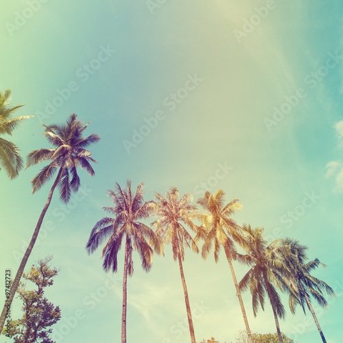 Landscape of palm trees at tropical coast  vintage effect filter and stylized