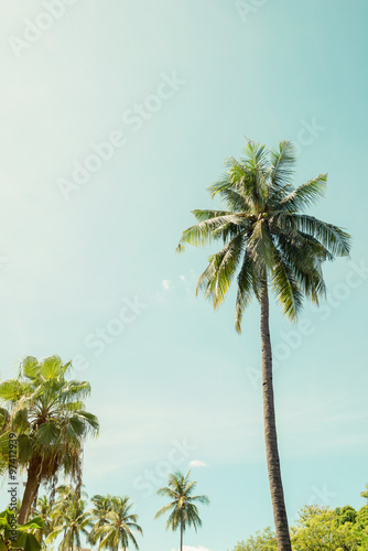 Vintage nature background of coconut palm tree on tropical beach blue sky with sunlight
