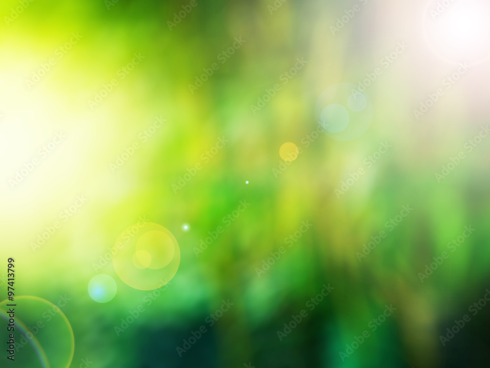 abstract blur background for web design,green forest colorful ba Stock  Photo | Adobe Stock
