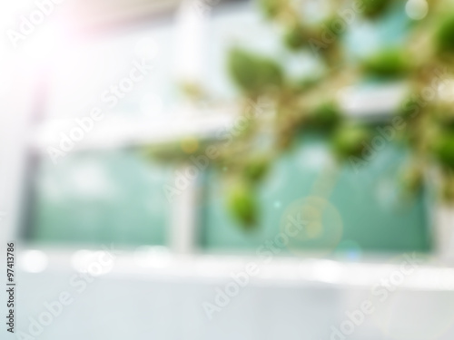 green Plants through greenhouse window,abstract blur background