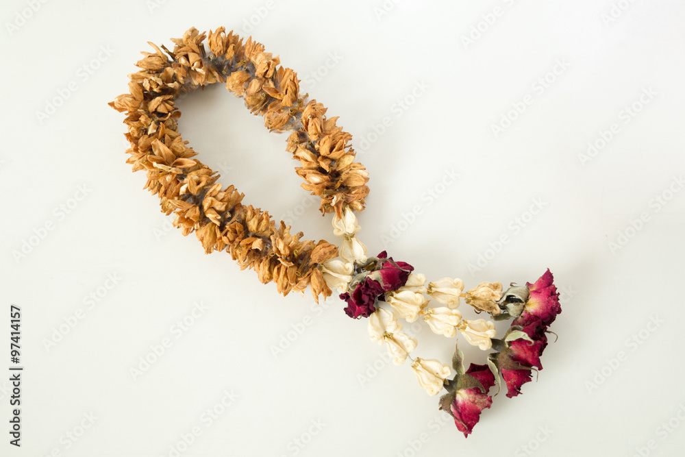 Ταπετσαρία Fungus on brown dry garland with roses, crown flower and jasmine.
