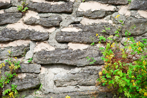 texture of the stone wall with grass