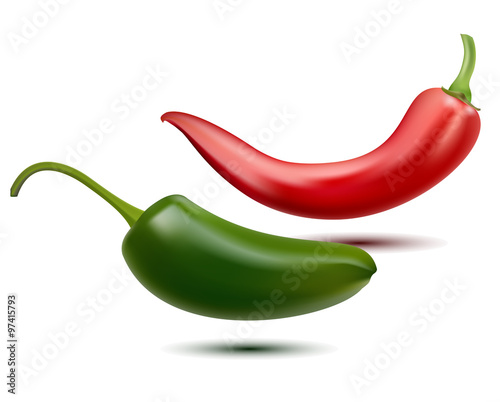 Vector Chili Pepper on white background