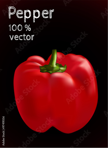  Vector illustration of red bell pepper.