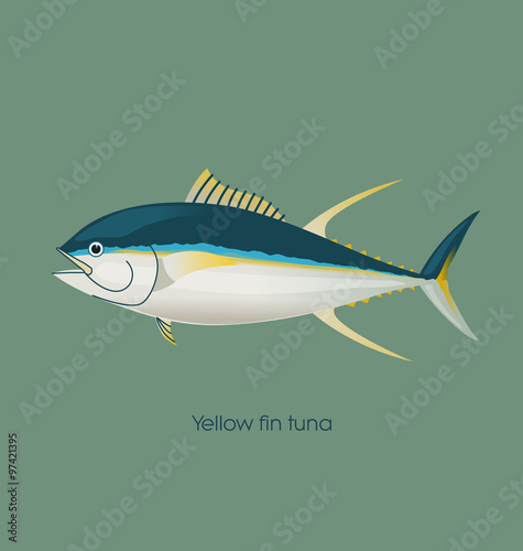 Yellow fin tuna