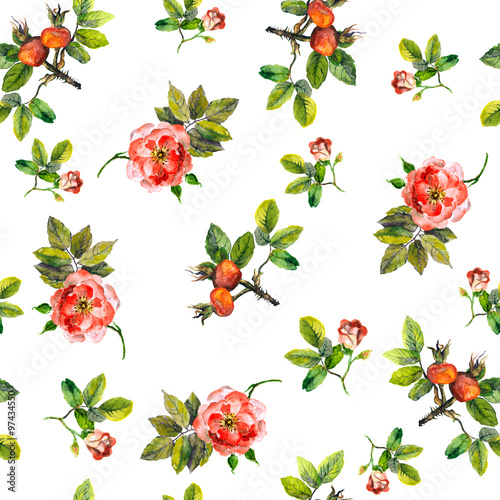 Texture of template with wild roses and briar berries 