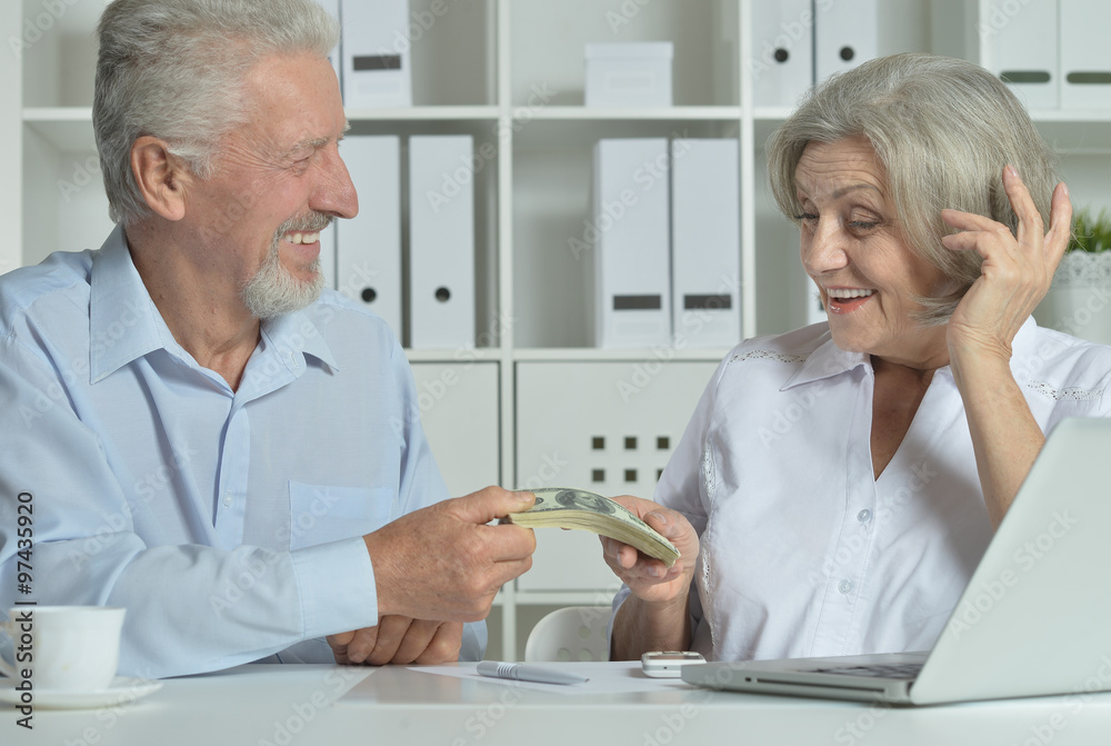 Obraz premium senior couple with laptop and money