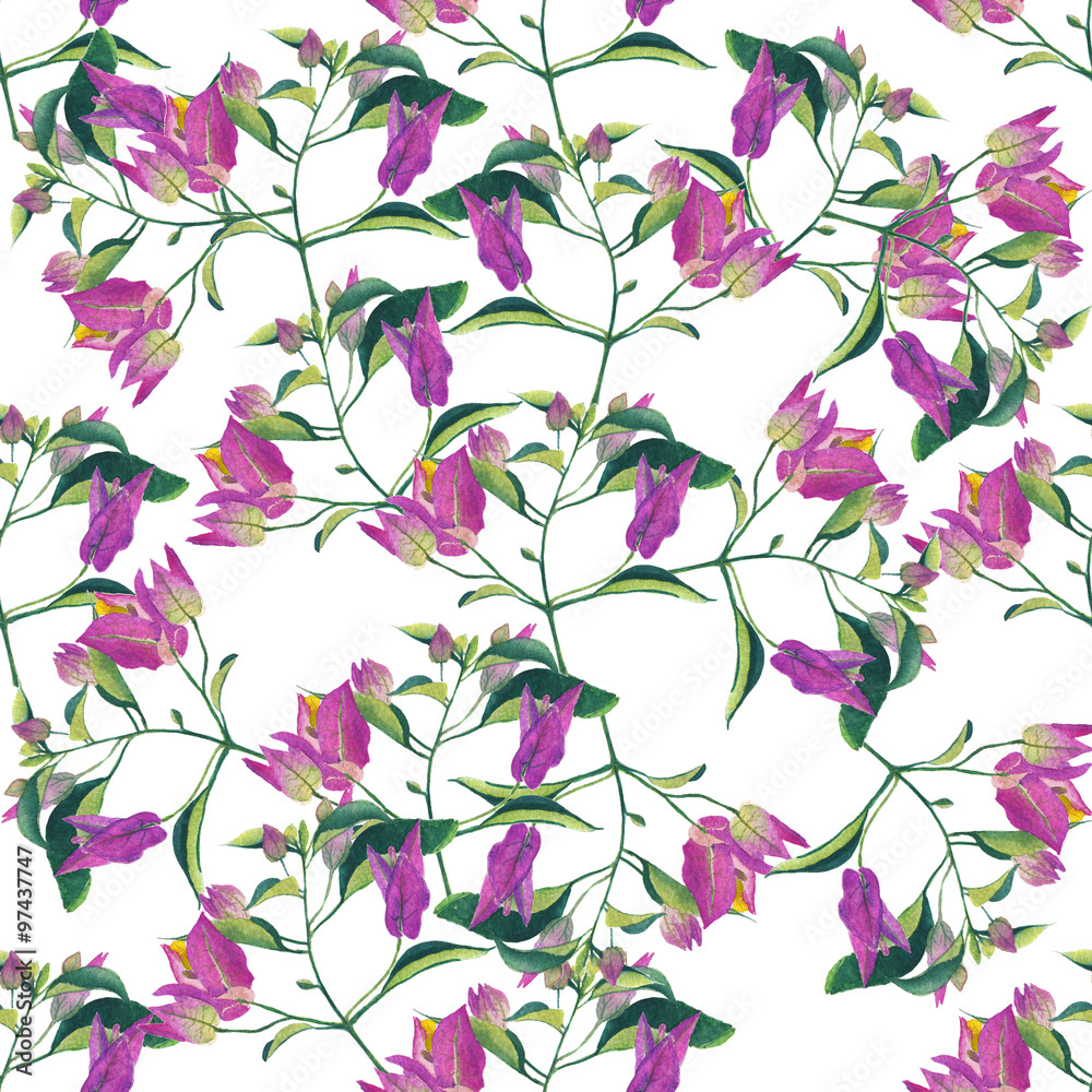 pattern pink-purple flowering bougainvillea garden in watercolor style pattern pink-purple flowering bougainvillea garden in watercolor style
