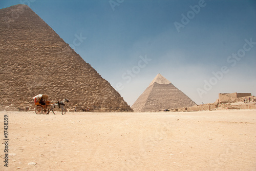 Horse dragging cart in front of the Giza Pyramids