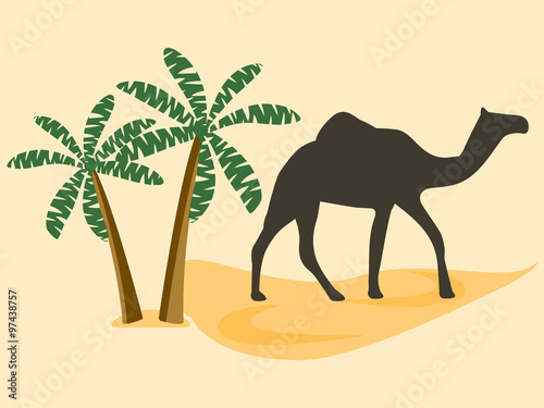 Camel in the desert  palm trees. Vector illustration.