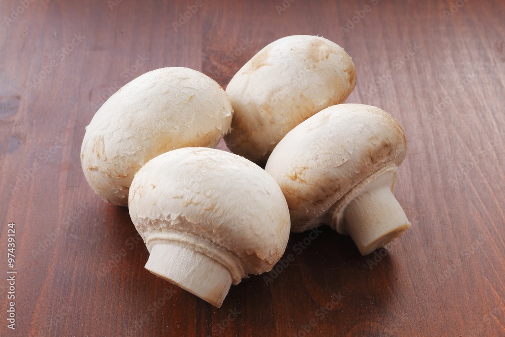 マッシュルーム common mushroom マッシュルーム common mushroom