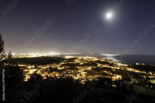 Palma de noche