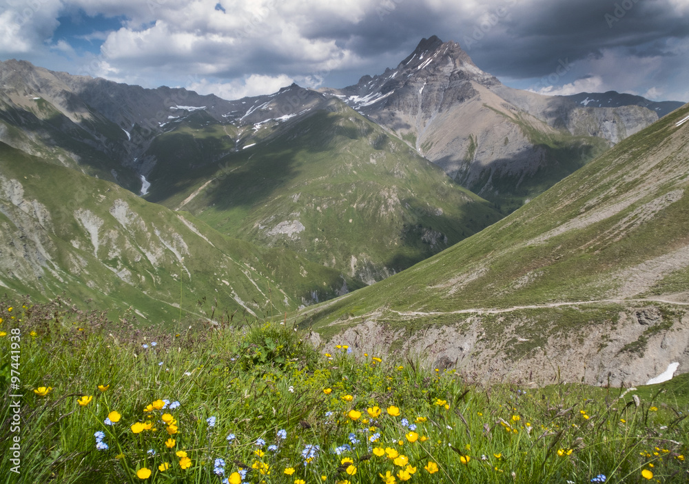 Berge mit gelben Blumen und dunklen Wolken am Fimbapass 
