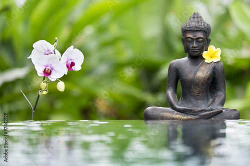 Fotografie Boudha avec fleur