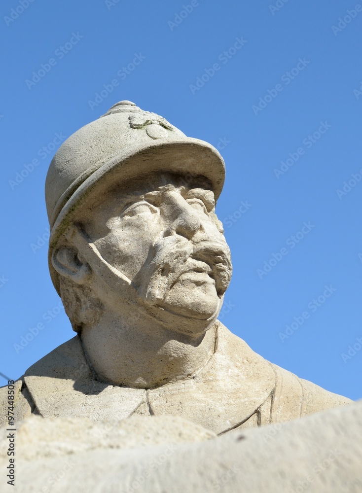 Fototapeta premium Tête de Poilu