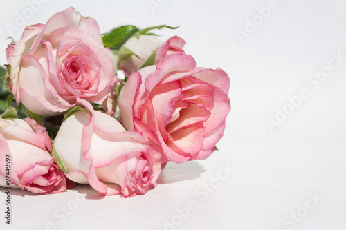 bouquet pink roses on white background © hanohiki
