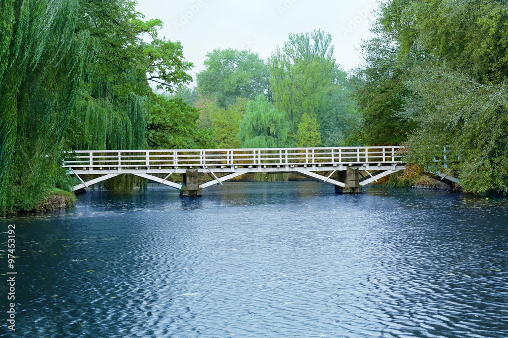 Fototapeta premium Bridge through the pond in the autumn park