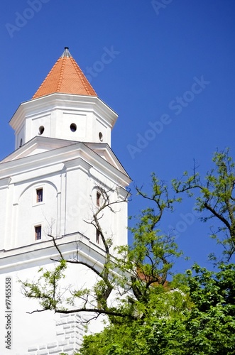 Canvas Print Bratislava Castle