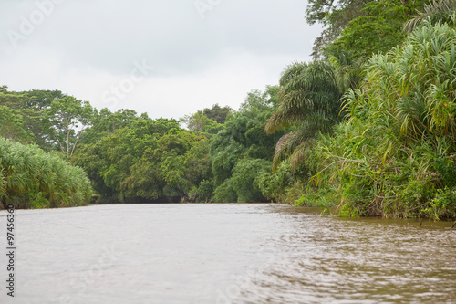 River flows in the rainforest of Costa Rica