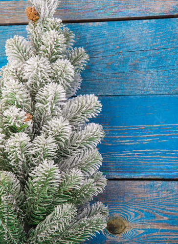 Christmas background with fir branches