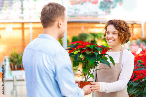 Florist giving blooming flower to her client. 