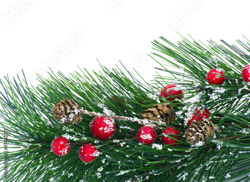 Christmas background with fir branches